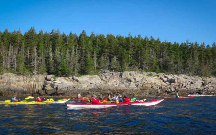 a group of people in kayaks paddle past a rocky shoreline and evergreen trees on an outward bound course for adults